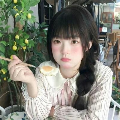 斑马头